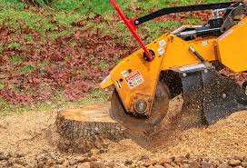 Best Lawn Mowing  in Woodbury, NY